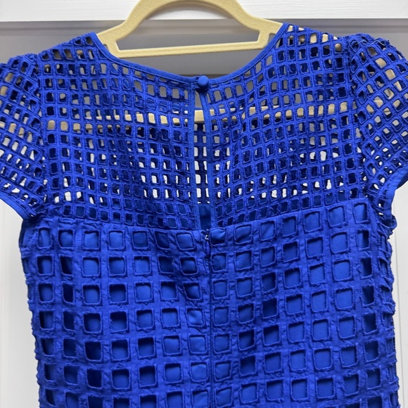 Milly Blue Chloe Illusion Net Dress - Picture 9 of 12